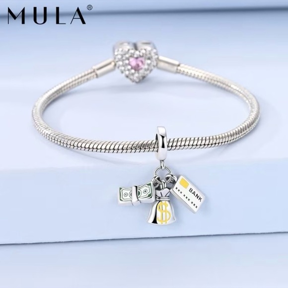 MULA Silver Charm Pendant with Money Symbols - Picture 4 of 10